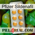 Pfizer Sildenafil levitra1